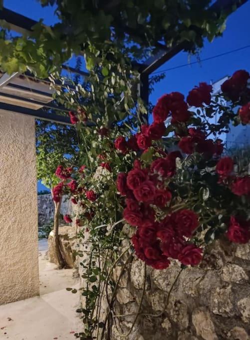 Villa Aiolia Kondoyenadha Exterior foto